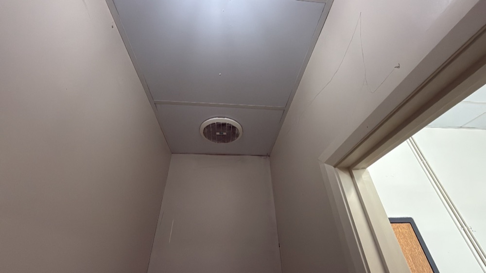 What a timber pest inspection covers in Melton South